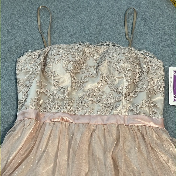 Hoco Hailey Logan Adrianna Papell Mini Dress Size 13 14 Fairy Coquette Formal - Picture 2 of 12